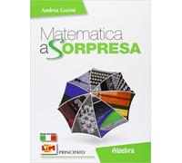 MATEMATICA A SORPRESA * GEOMETRIA 3 ALGEBRA - (9788841653845) + Materiali didattici - Rebillo