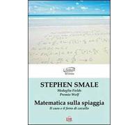 Matematica sulla spiaggia. Il caos e il ferro di cavallo