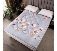 Materasso da letto, futon, futon, futon, migliora il comfort del sonno, morbido cuscinetto futon, cuscinetto futon, singolo, può essere utilizzato a lungo, di base (colore 6, 180 x 220 cm)