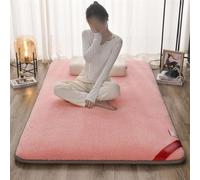 Materasso futon da pavimento giapponese, portatile, arrotolabile, traspirante, letto per gli ospiti, per studenti, 100 x 200 cm, ideale per camere degli ospiti e spazi compatti.