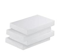 Materia prima industriale inerte chimica resistente alle alte temperature con spessore dello strato di PTFE 0,3-30 mm(100x200x1mm 2pcs)