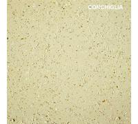 MATERIA VIVA intonachino materico a base di calce