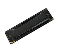 Materiale dell'ancia in bronzo fosforoso per armonica blues diatonica a 10 fori C Set Di Armonica