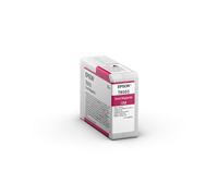 Materiale di consumo Cartucce di inchiostro Ultrachrome HD T8503 Confezione singola 1 x 800ml - C13T850300 NEW