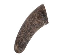 Materiale per Intaglio in Corno di Bue Naturale, Lucidato 8-10,5 CM | Grezzo per Artigiani Esperti e Principianti, Superficie Trame Uniche, Adatto a Lezioni D'arte e Corsi