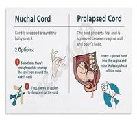 Maternal Emergency Guide Prehospital Delivery Management Poster for Medical Students and Nurses Canvas Wall Art(Framed,12x18inch(30x45cm))