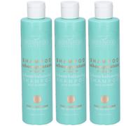 MaterNatura Shampoo Seboregolatore all'Alga Kelp 3x250 ml Shampoo