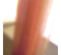 Mathias Delplanque - Le Pavillon Temoin