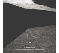 Mathisen,Svein Rikard - Calm Brutalism