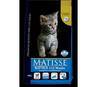 Matisse - Kitten da 10 kg