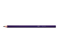 Matite colorate BIC Color Up 24 pezze multicolori