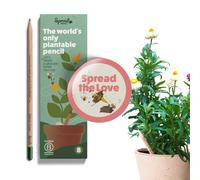 MATITE DA PIANTARE WORLD SPREAD THE LOVE EDITION CONFEZIONE DA 8 ECO-FRIENDLY SO