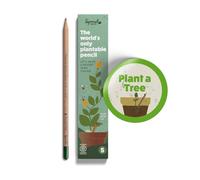 Matite SproutWorld in Grafite | Edizione Plant a Tree | Set di 5 Matite Piantabili con Semi di Abete| Legno ecosostenibile Biologico| Set Regalo Ecologico con Frasi Motivazionali Incise