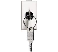 INTERRUTTORE 2P 10A CHIAVE - BTI AM5007