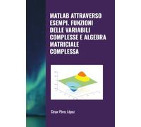MATLAB ATTRAVERSO ESEMPI. FUNZIONI DELLE VARIABILI COMPLESSE E ALGEBRA MATRICIALE COMPLESSA