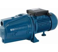Elettropompa autoadescante 0,8 hp jet td/n