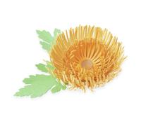 Matrice - SIZZIX - Thinlits - Crisantemo - Bianco - Adulti - Unisex