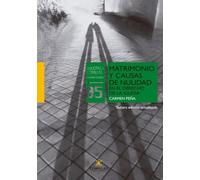 Matrimonio y causas de nulidad en el derecho de la Iglesia: 5