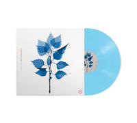 Matt Berninger - Get Sunk