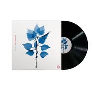 MATT BERNINGER (THE NATIONAL) - Get Sunk (2025) LP vinyl preorder