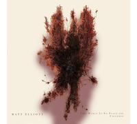 Matt Elliott - This World Is No Place For Children