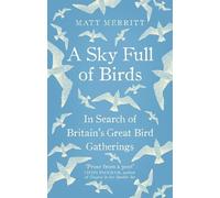 Matt Merritt A Sky Full of Birds (Tascabile)