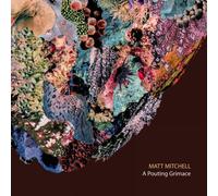 Matt Mitchell A Pouting Grimace (CD) Album