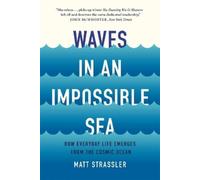Matt Strassler Waves in an Impossible Sea (Tascabile)