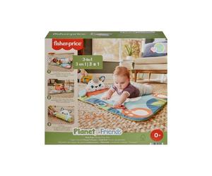 Mattel HKD65 Fisher-Price - Tappetino Panda