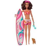 Mattel Surf-Puppe & Accy Doll and Accessories HPL69