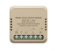 Matter Protocol Smart Switch per WiFi, compatibile con e, modulo di retrofit con doppio controllo e personalizzazione scena remota