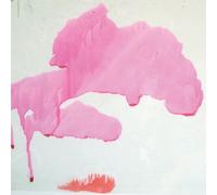 Matthew De Gennaro Fireflies (CD)