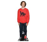 Matthew Gray Gubler Rosso Jumper Grandezza Naturale E Mini Sagoma di