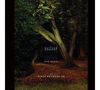 Matthew Herbert Big Band - The State Between Us