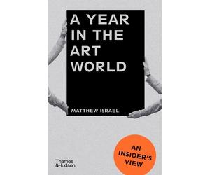 Matthew Israel A Year in the Art World (Tascabile)