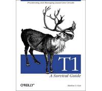 Matthew S. Gast T1: A Survival Guide (Tascabile)