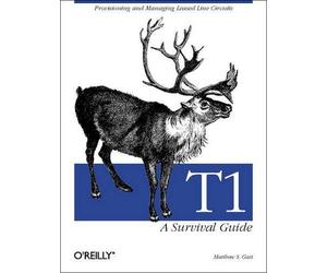 Matthew S. Gast T1: A Survival Guide (Tascabile)