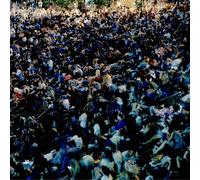 Matthew Tavares & Leland Whitty Visions (Vinyl LP)