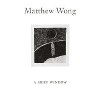 Matthew Wong: A Brief Window. Ediz. illustrata - Gioni Massimiliano