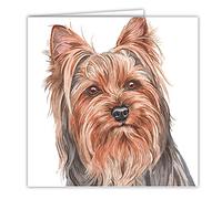 Maturi Biglietto d'auguri bianco con immagine di cane Yorkshire Terrier multicolore 441032