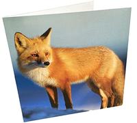 Maturi Biglietto d'auguri bianco con immagine di volpe, multicolore 441107