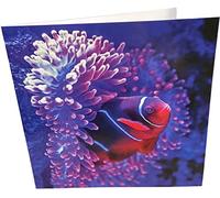 Maturi Biglietto d'auguri di compleanno quadrato con pesci tropicali