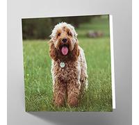 Maturi Biglietto d'auguri vuoto con immagine di cane Cockapoo