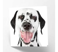 Maturi Biglietto d'auguri vuoto con immagine di cane dalmata