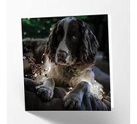 Maturi Biglietto d'auguri vuoto con immagine di cane Springer Spaniel