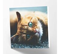 Maturi Biglietto d'auguri vuoto con immagine di gatto zenzero