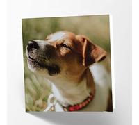 Maturi Biglietto d'auguri vuoto con immagine di Jack Russell