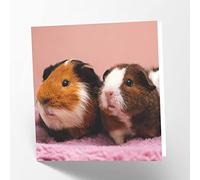 Maturi Biglietto d'auguri vuoto con immagine di porcellini d'India