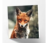 Maturi Biglietto d'auguri vuoto con immagine di volpe