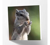 Maturi Biglietto di auguri fotografico con scoiattolo, 15,5 x 15,5 cm